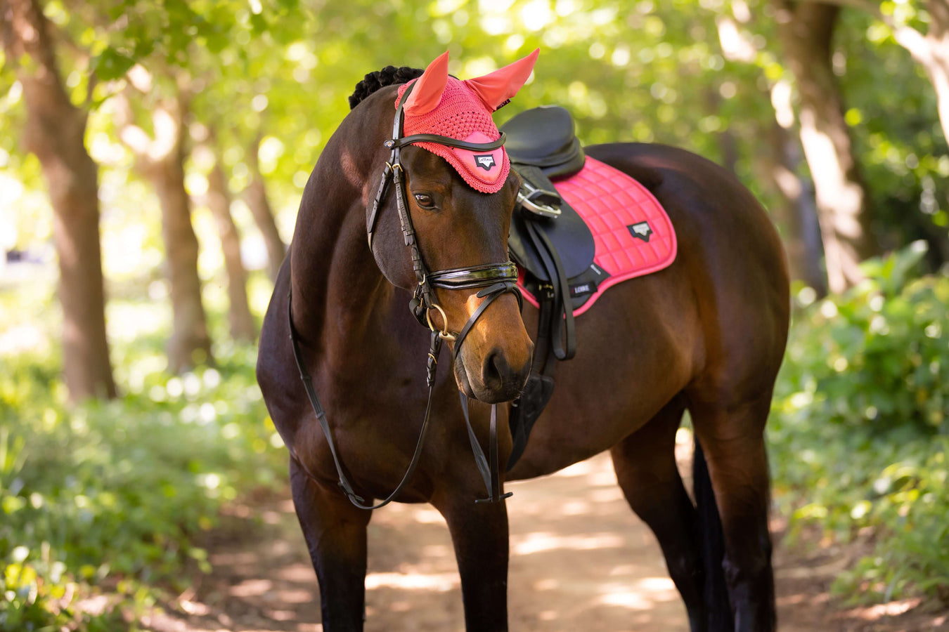 LeMieux Papaya Latest Colour Collections In Store at Barnstaple Equestrian Supplies.