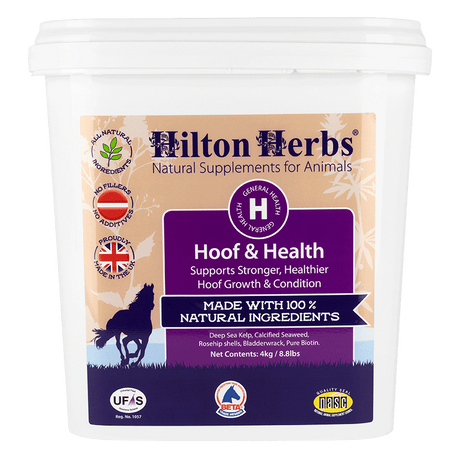 Hilton Herbs Hoof & Health Horse Hoof Supplements Barnstaple Equestrian Supplies