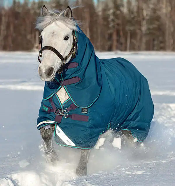 Heavy Weight Turnout Rugs No Fill - 50g Turnout Rugs, 100g Turnout Rugs with Standard Necks to Combos & Detachable Horses.  FAST NEXT DAY DELIVERY with Online Discounts for Local Click & Collections and Van Deliveries with Barnstaple Equestrian Supplies