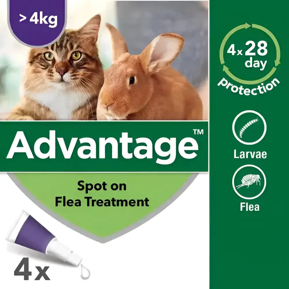 Advantage spot on solution 80 purple and white tube with active ingredient imidacloprid for flea infestations on pet rabbits