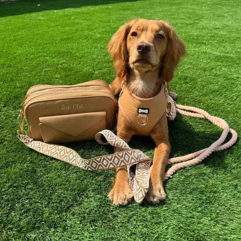 Alfresco Pup faux leather dog harness - camel colour adjustable dog harness XXS Pet Products