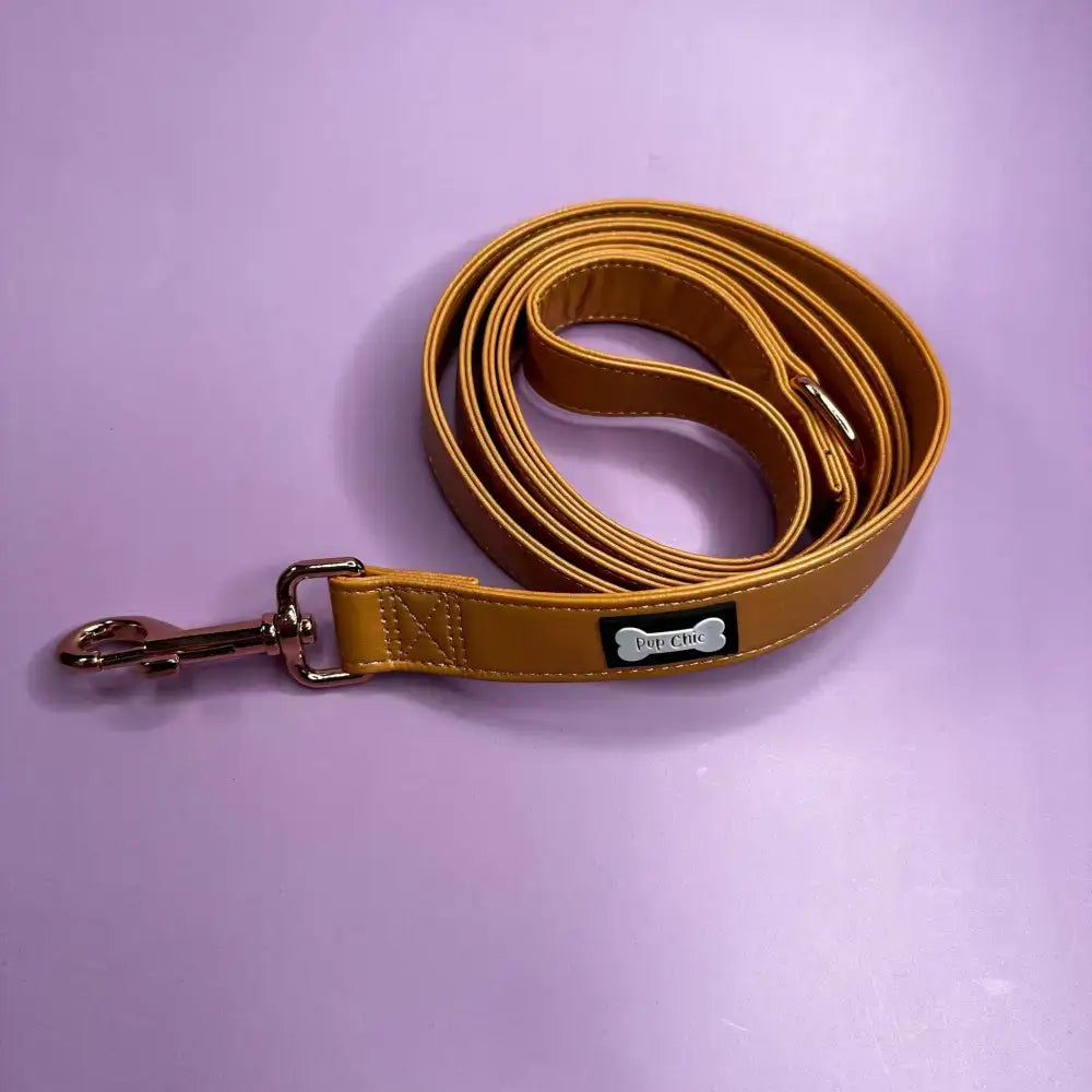 Alfresco Pup vegan leather 5ft dog lead Pet Products