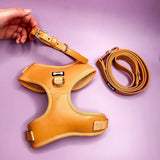 Alfresco Pup vegan leather 5ft dog lead Pet Products