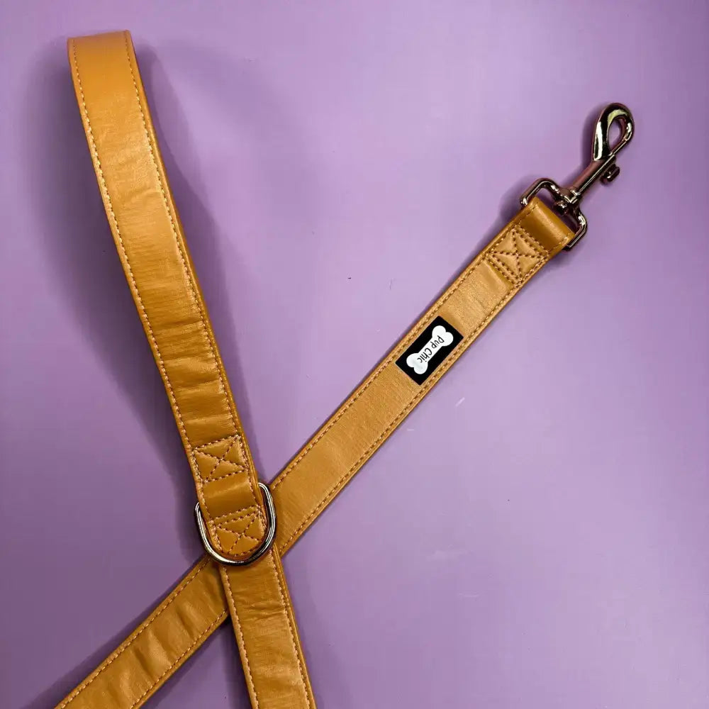Alfresco Pup vegan leather 5ft dog lead Pet Products