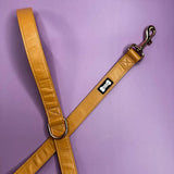 Alfresco Pup vegan leather 5ft dog lead Pet Products