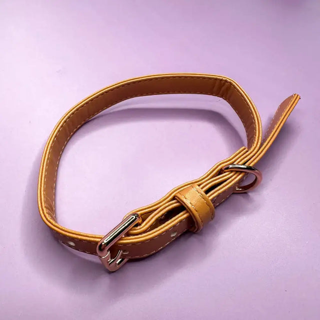Tan alfresco pup vegan leather dog collar with silver-toned camel colour buckle and metal ring for dogs