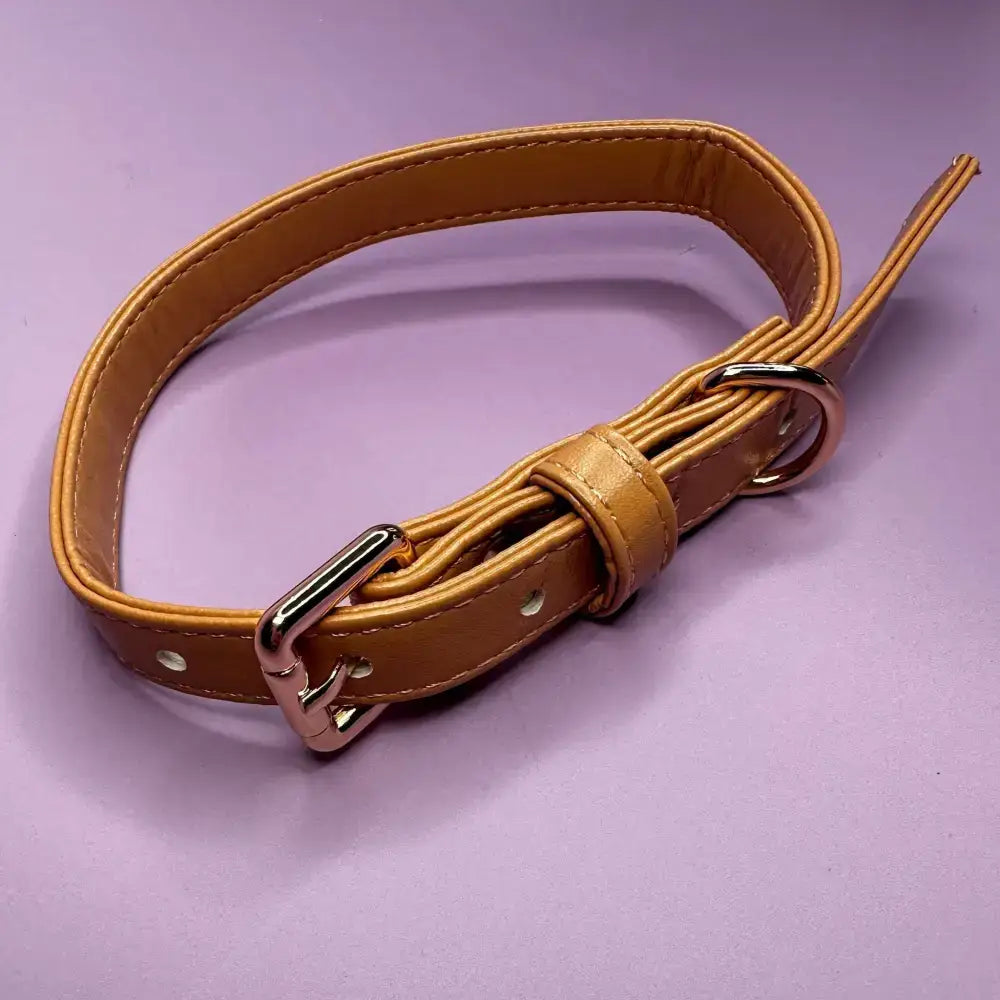 Tan leather dog collar from alfresco pup vegan featuring a rose gold-toned camel colour buckle and d-ring