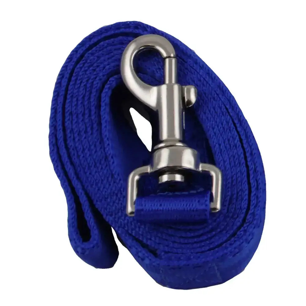 Royal blue alpaca leads dog leash made of 25mm soft webbing with a sturdy silver swivel hook clasp