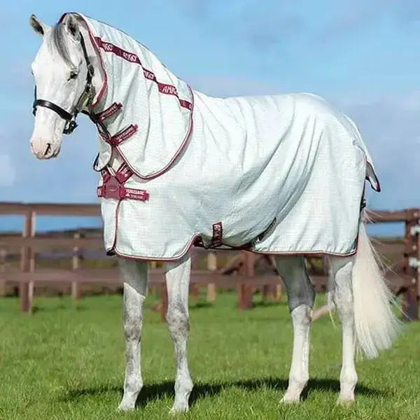 Amigo Aussie Allrounder Horseware Fly Rugs Summer Fly Sheets-5'0"-Sweet Itch Rugs-Horseware of Ireland-Barnstaple Equestrian Supplies Tack Shop