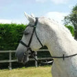 Anatomical Bridles With Cavesson Noseband Rhinegold Italian Leather Black Cob Bridles