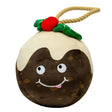 Ancol Colin Christmas Pudding Dog Toys