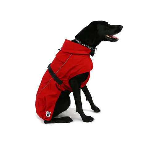 Red waterproof blizzard dog coat by ancol extreme blizzard with black adjustable straps and reflective stitching