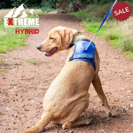 Ancol Extreme Hybrid Harness Aqua Blue Blue Medium Dog Harness