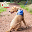 Ancol Extreme Hybrid Harness Aqua Blue Blue Medium Dog Harness