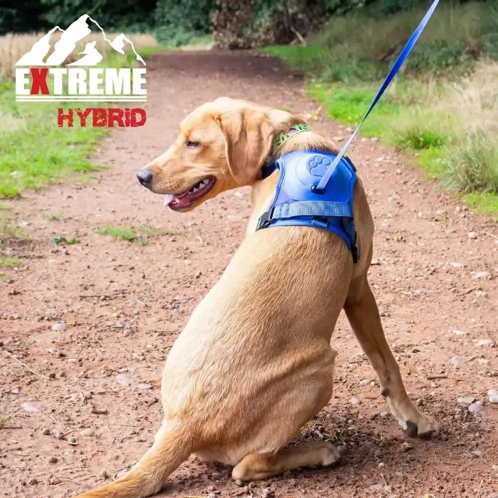 Ancol Extreme Hybrid Harness Aqua Blue Blue Medium Dog Harness