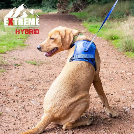 Ancol Extreme Hybrid Harness Aqua Blue Blue Medium Dog Harness