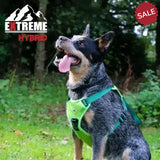 Ancol Extreme Hybrid Harness Field Green Medium Green Dog Harness