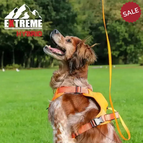 Ancol Extreme Hybrid Harness Hazard Orange Medium Orange Dog Harness