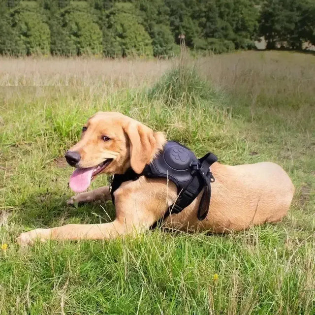 Ancol Extreme Hybrid Harness Tactical Black Medium Black Dog Harness