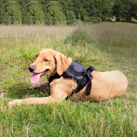 Black tactical ancol extreme hybrid harness with padded paw-print panel perfect for hybrid harness tactical use