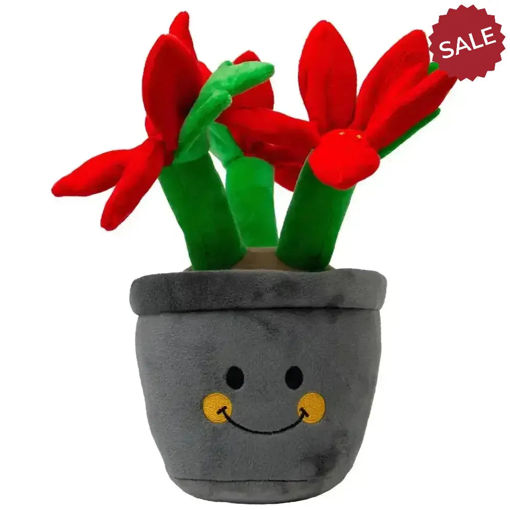 Ancol Henrietta Poinsettia Dog Toys