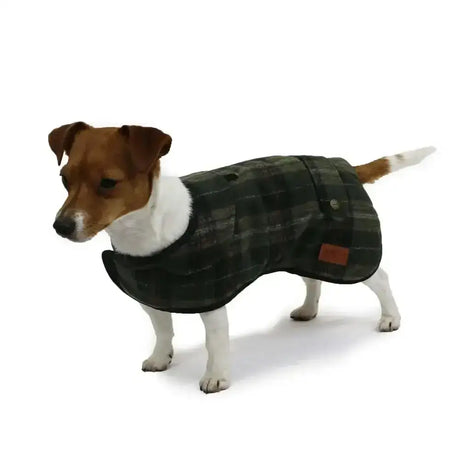 Dark green and black plaid dog coat with white collar lining from ancol heritage collection check coat green