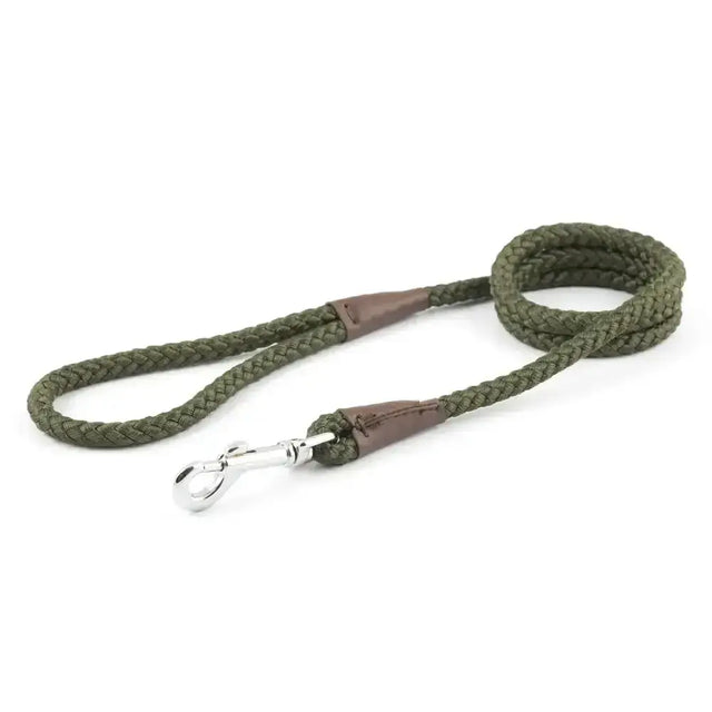 Olive green braided rope dog leash with brown leather handles and silver clasp from ancol heritage collection rope lead