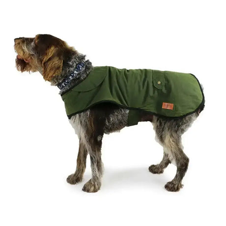 Olive green waterproof dog coat from ancol heritage collection with textured collar and buttoned front pocket
