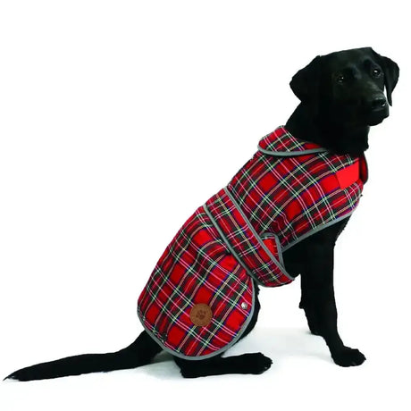 Red plaid ancol highland tartan dog coat with gray trim brown leather patch and splashguard chest protector detail