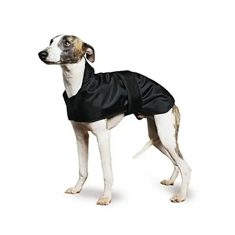 Black satin ancol hound dog coat with sleek glossy finish and adjustable straps carefully designed for comfort