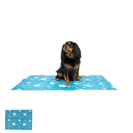 Blue ancol ice paws cooling mat with white paw prints designed to keep pets cool and comfortable