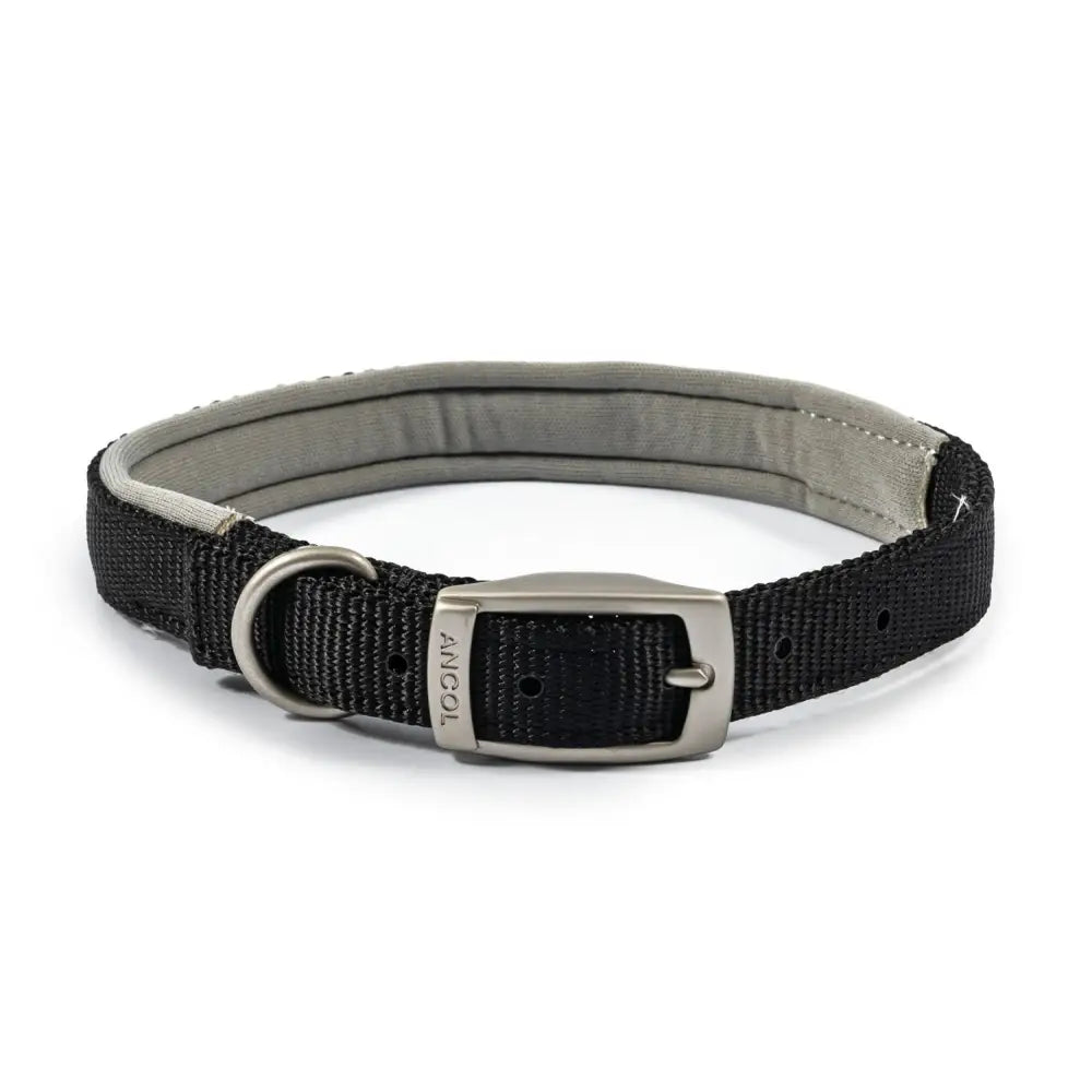 Black woven nylon padded viva collar with gray padded interior and silver buckle from ancol padded viva collar black