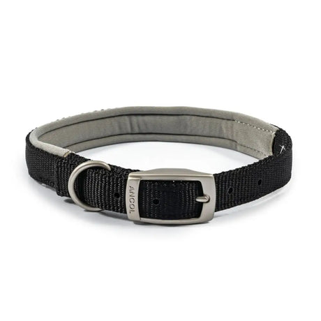 Black woven nylon padded viva collar with gray padded interior and silver buckle from ancol padded viva collar black