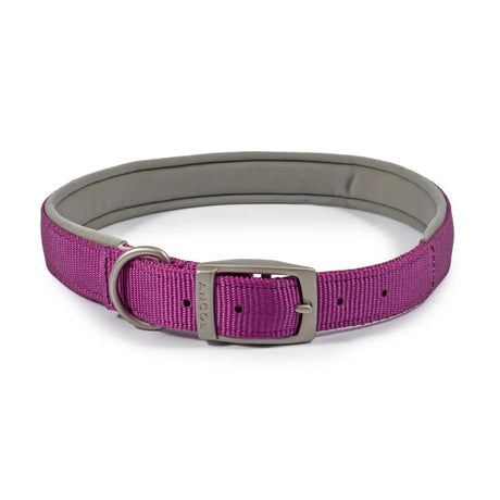 Purple woven ancol padded viva collar with silver metal buckle and d-ring padded gray interior lining