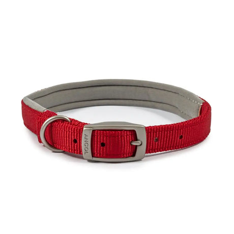 Red woven nylon ancol padded viva collar red with silver buckle and gray padded interior for dogs