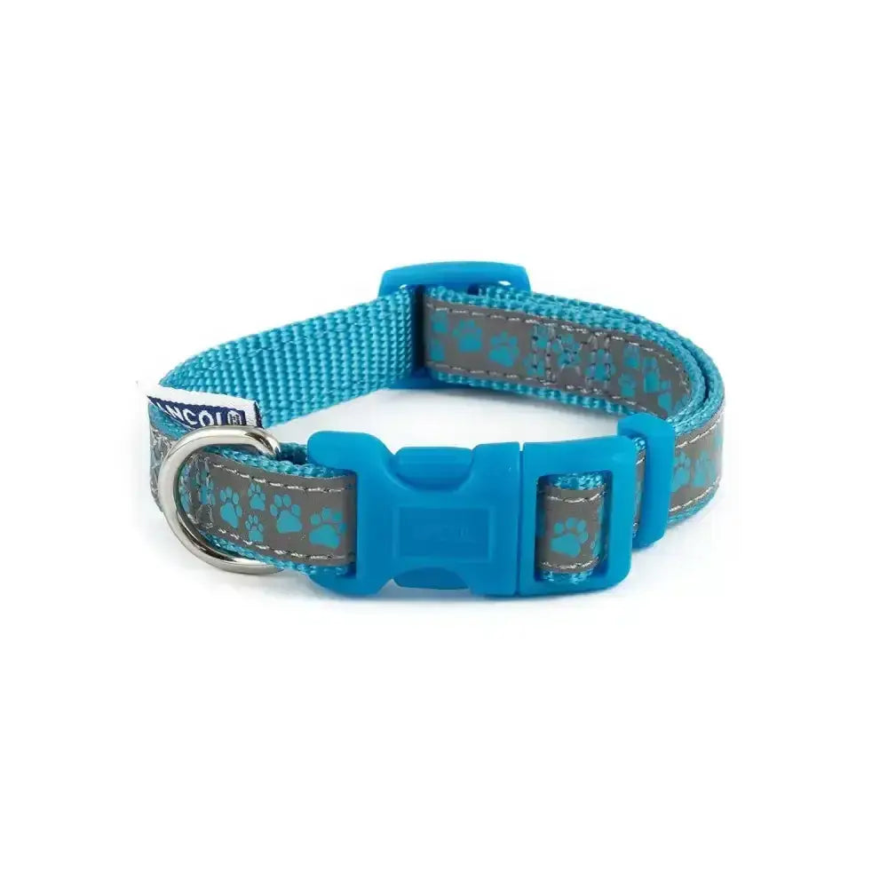Bright blue ancol patterned collection collar with gray reflective strip and teal paw prints with matching buckle