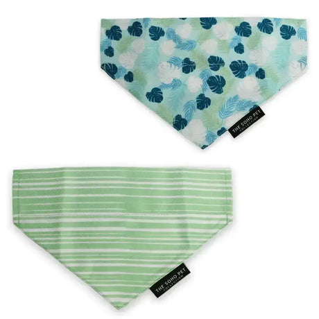 Ancol pet bandana stripe leaf with teal tropical leaf and soft green stripes perfect for stylish pets