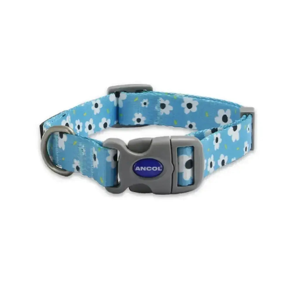 Light blue ancol soho pet collar with modern daisy pattern and gray plastic buckle for stylish pet use