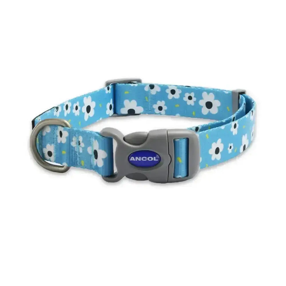 Light blue ancol soho pet collar with modern daisy pattern and gray plastic buckle featuring ancol logo