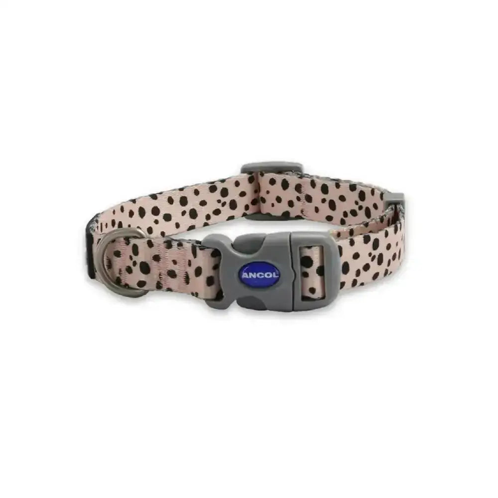 Beige ancol soho pet collar with black polka dots and gray buckle featuring modern dalmatian pattern design