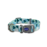A teal and white tropical leaf-patterned ancol soho pet collar with gray buckle and ancol logo in modern leaf pattern