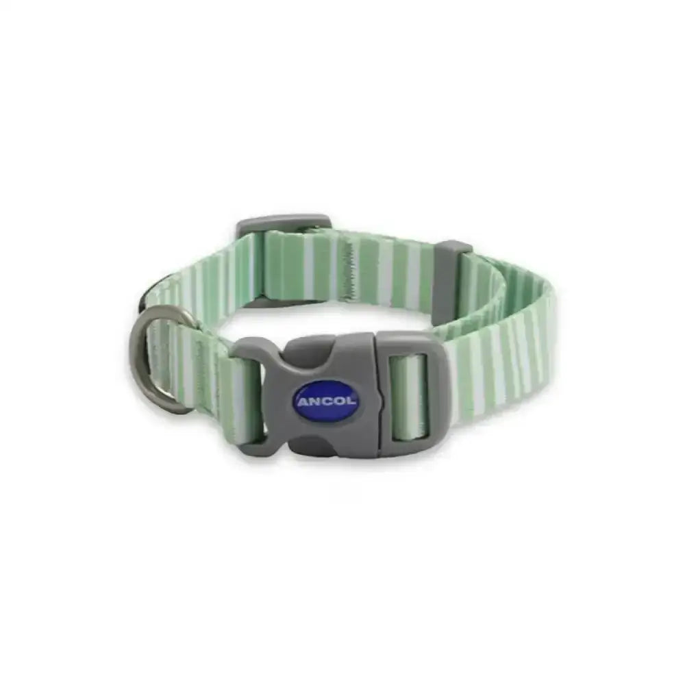 A mint green and white striped ancol soho pet collar with a gray plastic buckle and modern stripe pattern