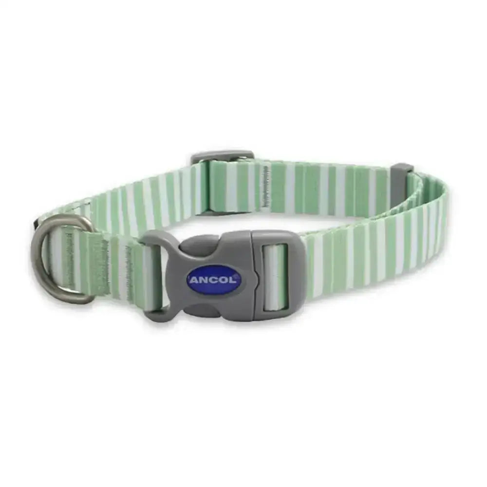 A mint green and white striped ancol soho pet collar with a gray plastic buckle featuring the ancol logo and modern stripe pattern