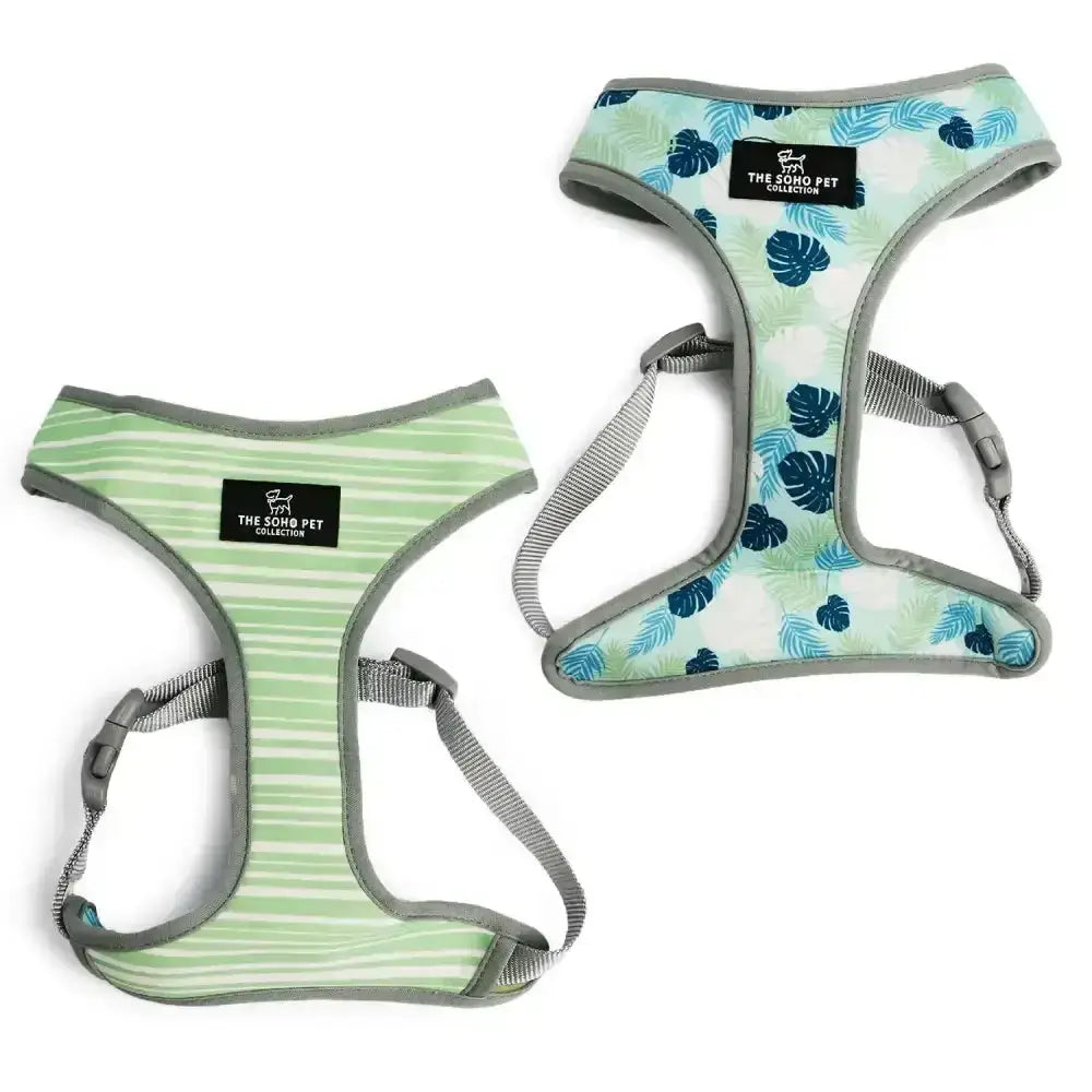 Two ancol soho pet harnesses reversible stripe leaf harness with light green stripes and teal tropical leaf patterns
