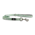 Ancol Soho Pet Lead Stripe 100 Cm X 1.9 Cm Stripe Dog Lead Barnstaple Equestrian Supplies