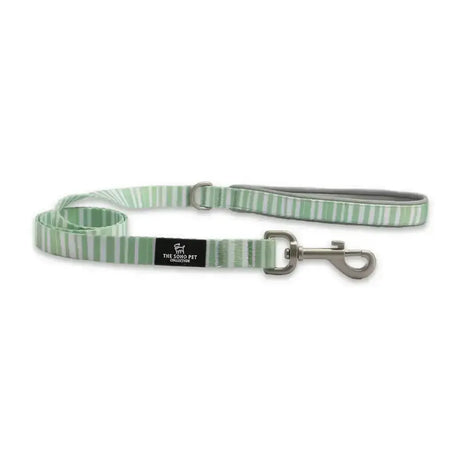 A mint green and white striped ancol soho pet lead with silver clasp and soho pet lead stripe modern stripe pattern