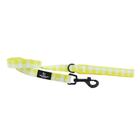 A bright yellow and white gingham patterned lead with a black metal clasp ancol soho pet patterned lead yellow check