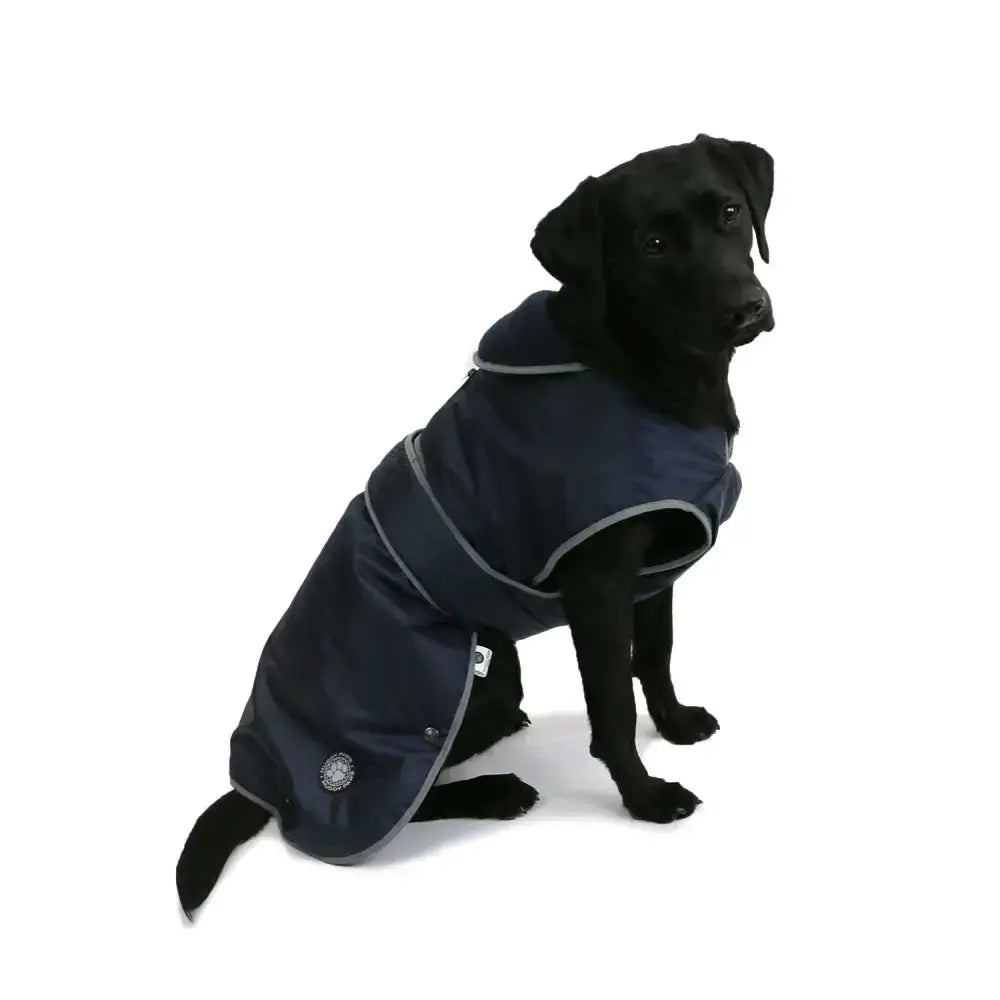 Navy blue ancol stormguard dog coat with splashguard chest protector gray trim and internal fleece lining
