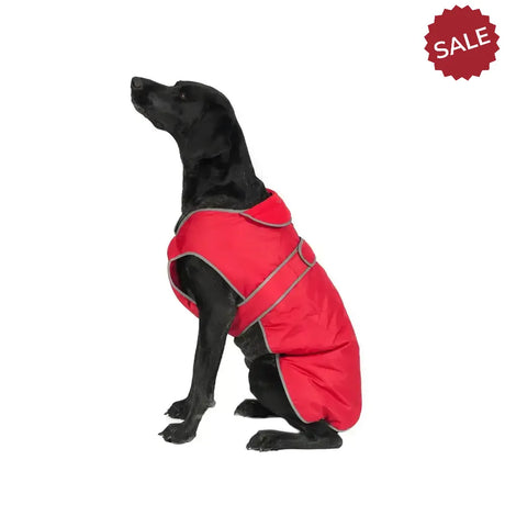 Ancol Stormguard Dog Coat Red Small / Medium Dog Coat