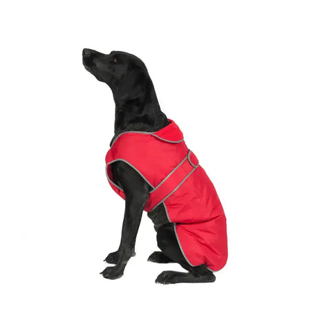 Red quilted Ancol stormguard dog coat with gray trim and internal fleece lining for splashguard chest protector